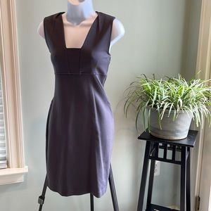 Express Bodycon Dress